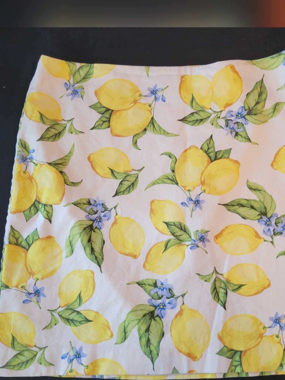 Talbots Lemon Blossom A-Line Canvas Skirt